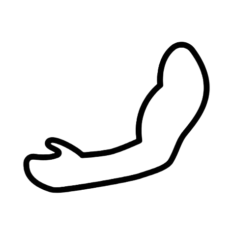 bras